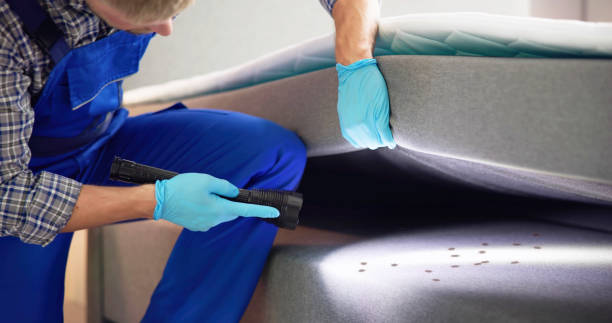 Best Commercial Pest Control Services  in Huntingdon, TN