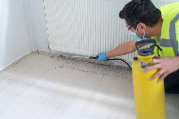 Pest Prevention Services in Huntingdon, TN